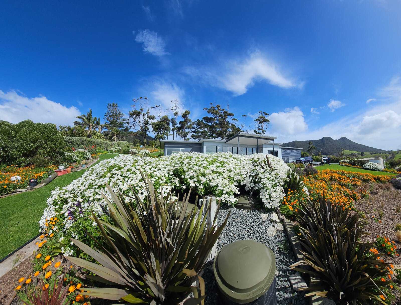 Planted garden over a finished Drainage Systems installation, with the treatment system covers set in gravel below the house